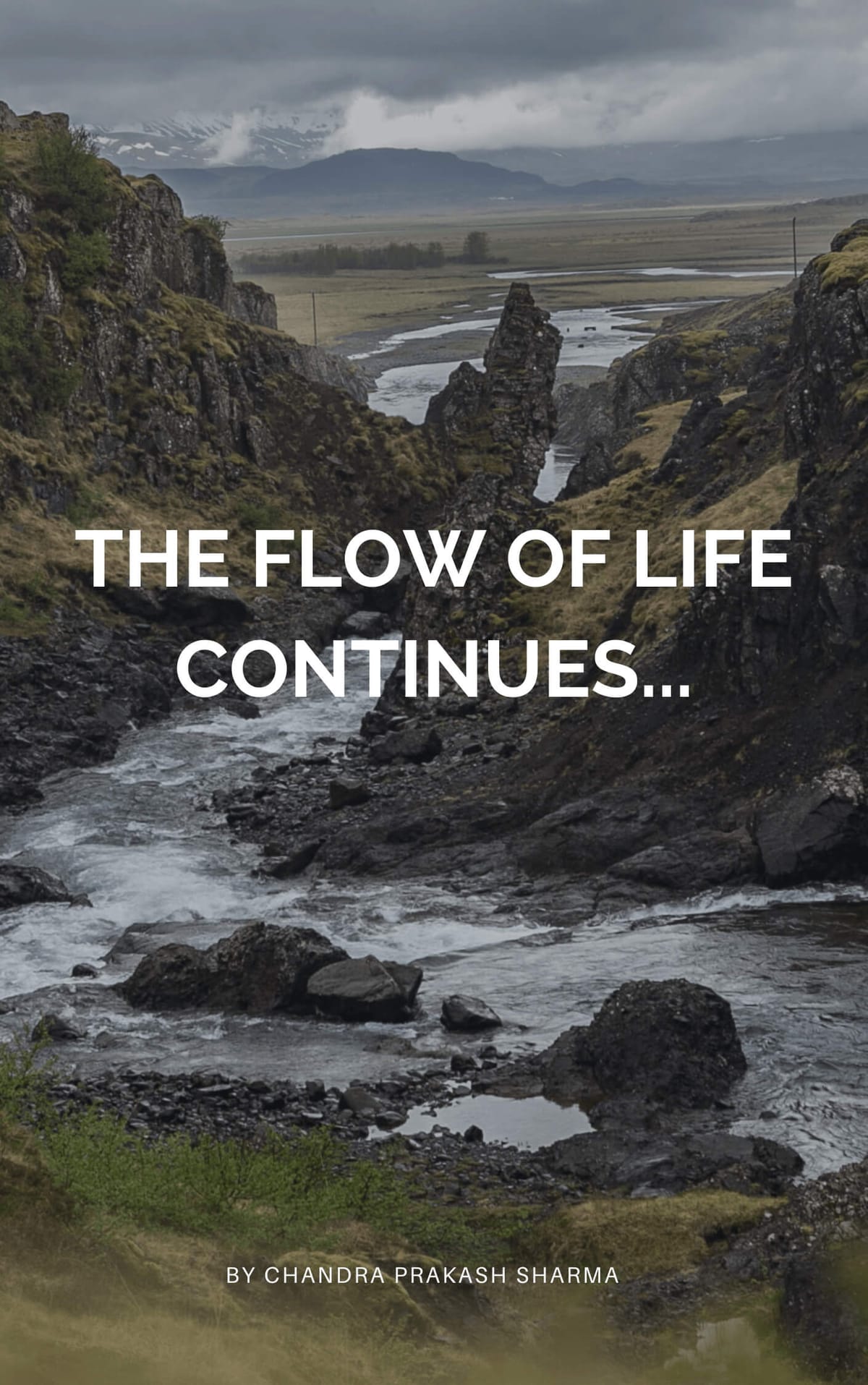 The Flow Of Life Continues...